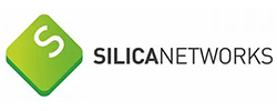 Silicanetworks